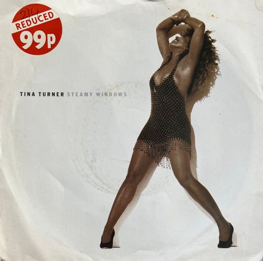 Steamy Windows - Tina Turner 7"