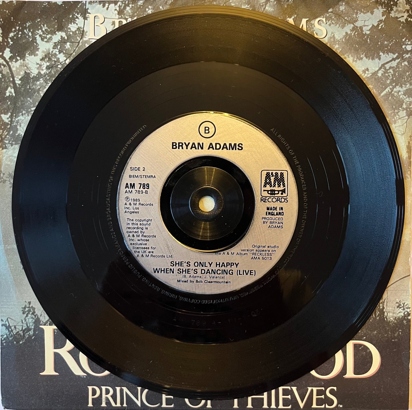 (Everything I Do) I Do It For You - Bryan Adams (Used 7")